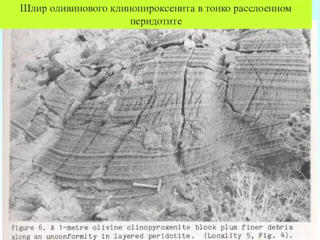 Шлир оливинового клинопироксенита в тонко расслоенном перидотите