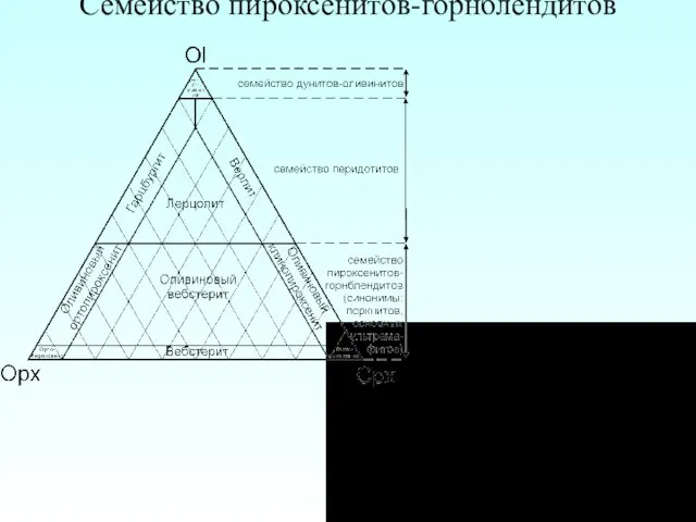 Семейство пироксенитов-горнблендитов