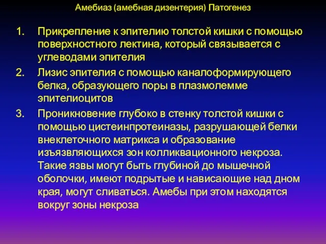 Амебиаз (амебная дизентерия) Патогенез Прикрепление к эпителию толстой кишки с помощью