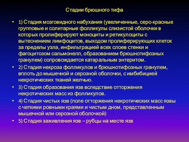 Стадии брюшного тифа 1) Стадия мозговидного набухания (увеличенные, серо-красные групповые и