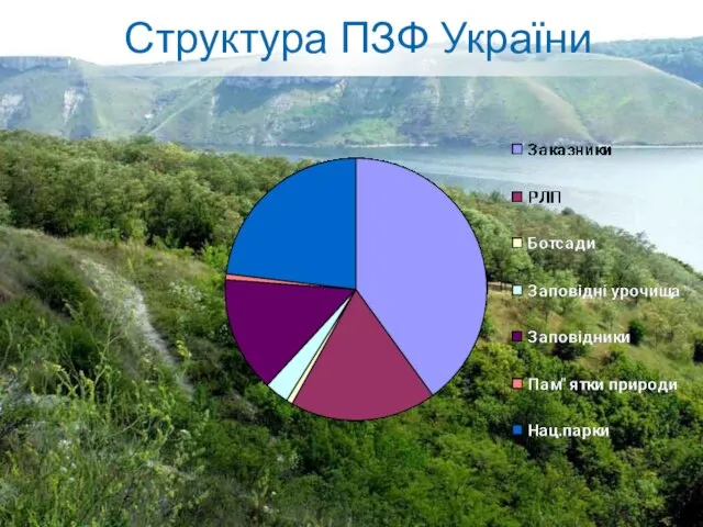 Структура ПЗФ України