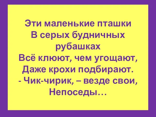 Эти маленькие пташки В серых будничных рубашках Всё клюют, чем угощают,