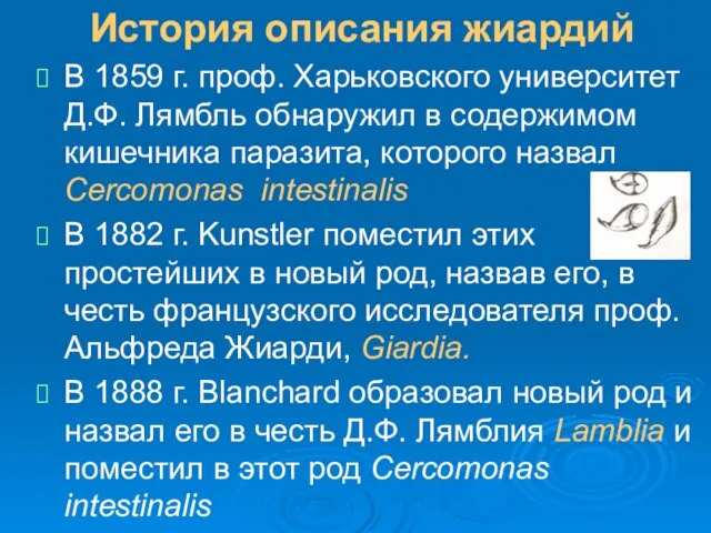 История описания жиардий В 1859 г. проф. Харьковского университет Д.Ф. Лямбль