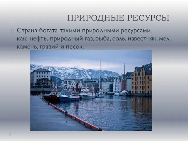 ПРИРОДНЫЕ РЕСУРСЫ Страна богата такими природными ресурсами, как: нефть, природный газ,