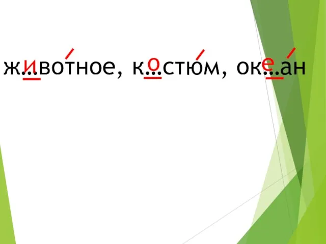 ж…вотное, к…стюм, ок…ан и о е