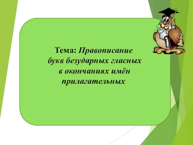 Тема: Правописание букв безударных гласных в окончаниях имён прилагательных