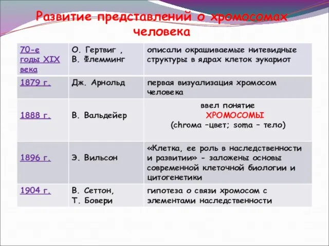 Развитие представлений о хромосомах человека