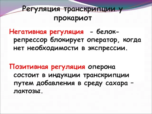 Регуляция транскрипции у прокариот Негативная регуляция - белок-репрессор блокирует оператор, когда