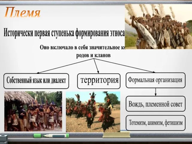 Племя Исторически первая ступенька формирования этноса. Оно включало в себя значительное