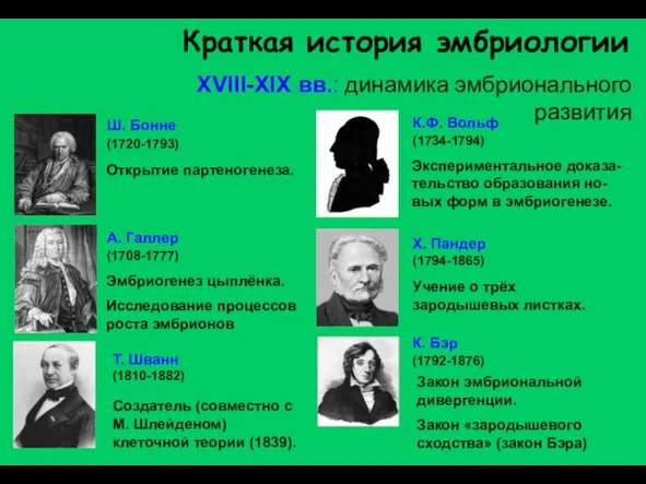 Краткая история эмбриологии XVIII-XIX вв.: динамика эмбрионального развития Эмбриогенез цыплёнка. Исследование