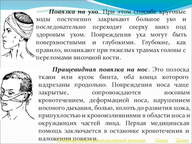 Повязка на ухо. При этом способе круговые ходы постепенно закрывают больное