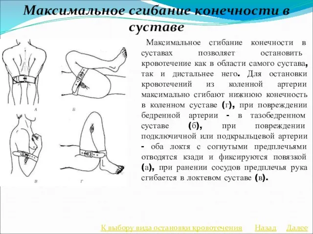 Максимальное сгибание конечности в суставе Максимальное сгибание конечности в суставах позволяет