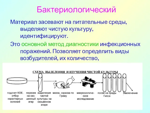 Бактериологический Материал засевают на питательные среды, выделяют чистую культуру, идентифицируют. Это