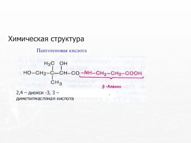 Химическая структура 2,4 – диокси -3, 3 – диметилмасляная кислота Пантотеновая кислота .