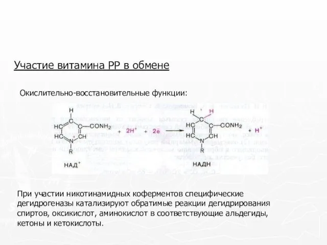Участие витамина РР в обмене Окислительно-восстановительные функции: При участии никотинамидных коферментов