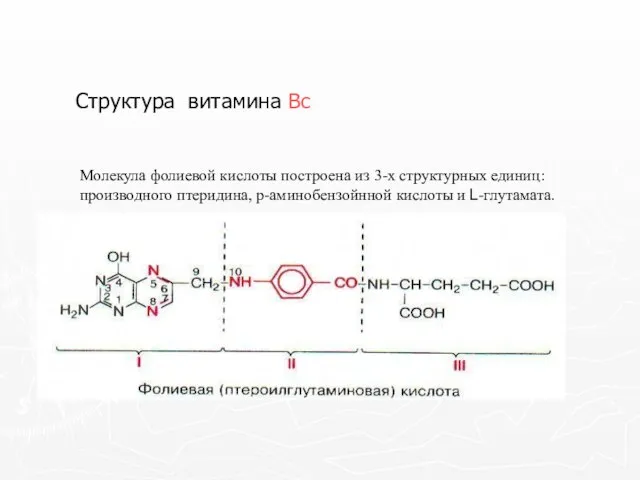 Структура витамина Вс Молекула фолиевой кислоты построена из 3-х структурных единиц: