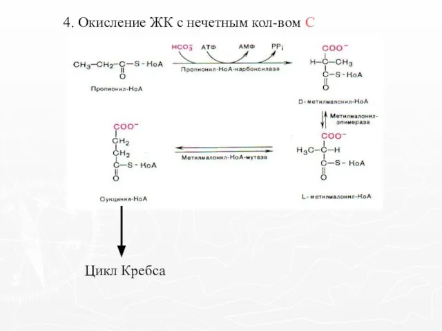 4. Окисление ЖК с нечетным кол-вом С