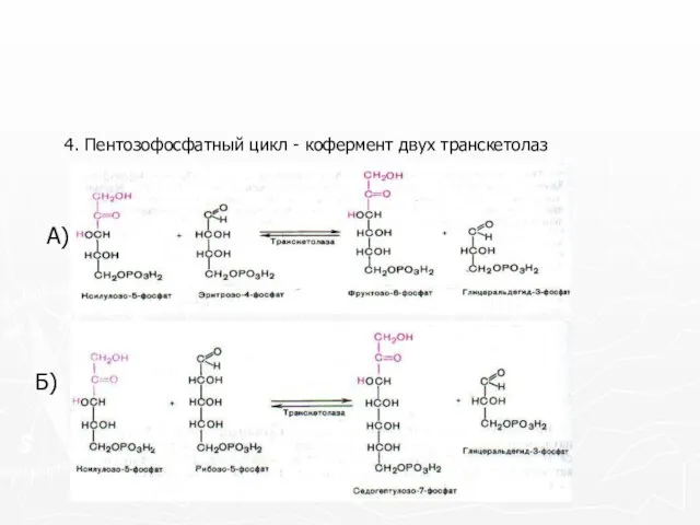 4. Пентозофосфатный цикл - кофермент двух транскетолаз А) Б)