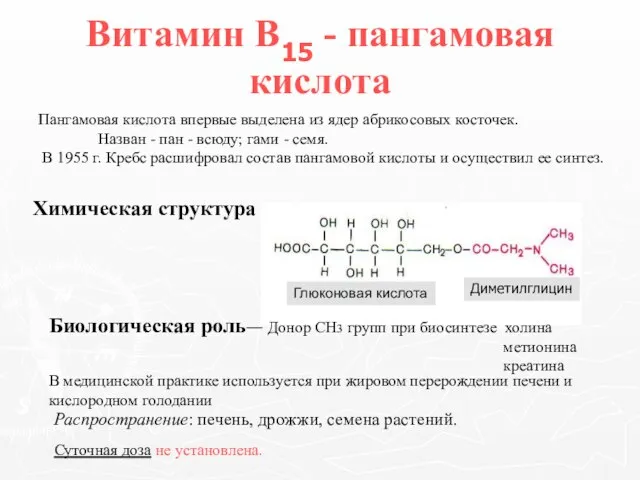 Витамин В15 - пангамовая кислота Пангамовая кислота впервые выделена из ядер