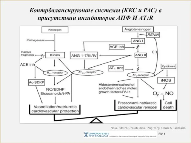 Nour‐Eddine Rhaleb, Xiao‐Ping Yang, Oscar A. Carretero 2011 Контрбалансирующие системы (ККС