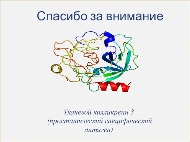 Спасибо за внимание Тканевой калликреин 3 (простатический специфический антиген)