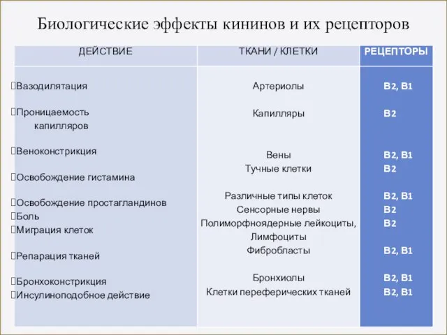 Биологические эффекты кининов и их рецепторов