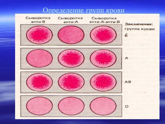 Определение групп крови