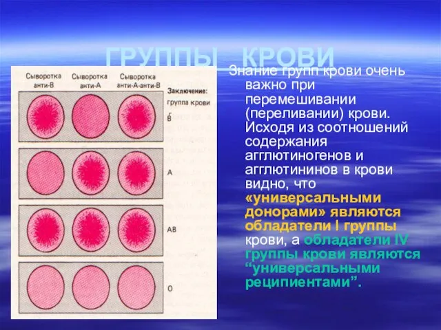 ГРУППЫ КРОВИ Знание групп крови очень важно при перемешивании (переливании) крови.