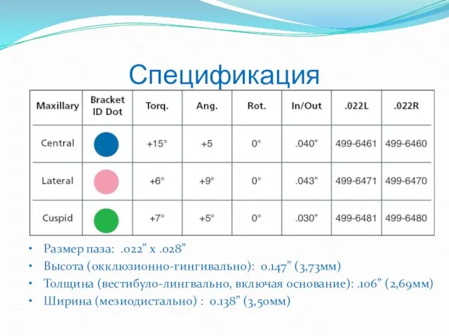 Спецификация Размер паза: .022” x .028” Высота (окклюзионно-гингивально): 0.147” (3,73мм) Толщина