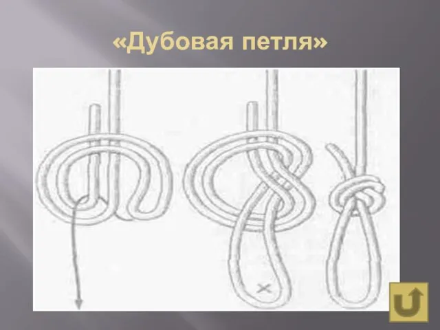 «Дубовая петля»