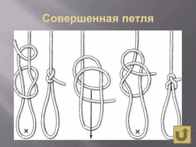 Совершенная петля