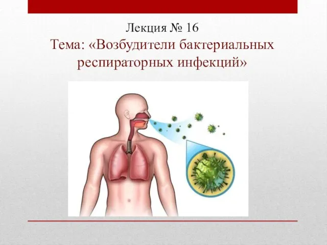 Лекция № 16 Тема: «Возбудители бактериальных респираторных инфекций»