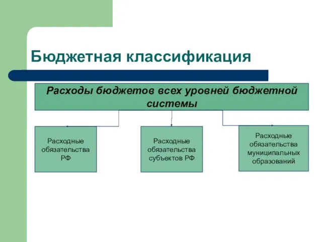 Бюджетная классификация Расходы бюджетов всех уровней бюджетной системы Расходные обязательства РФ