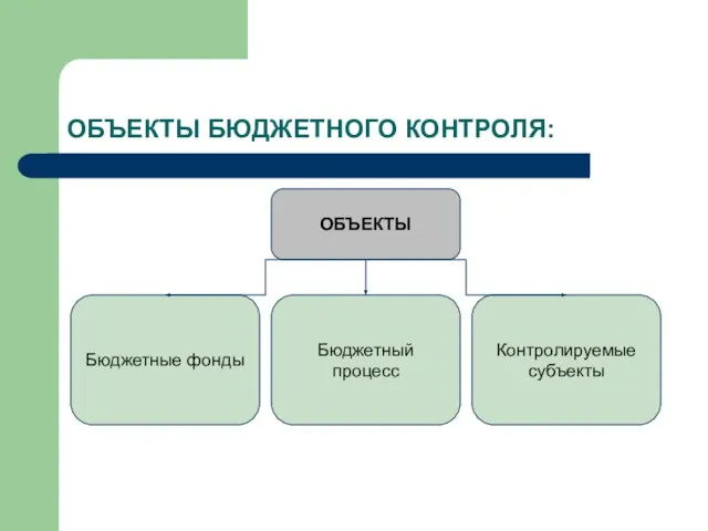 ОБЪЕКТЫ БЮДЖЕТНОГО КОНТРОЛЯ: ОБЪЕКТЫ Контролируемые субъекты Бюджетный процесс Бюджетные фонды