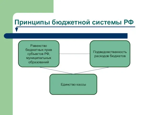 Принципы бюджетной системы РФ Равенство бюджетных прав субъектов РФ, муниципальных образований Подведомственность расходов бюджетов Единство кассы