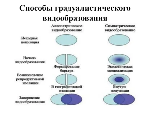 Способы градуалистического видообразования