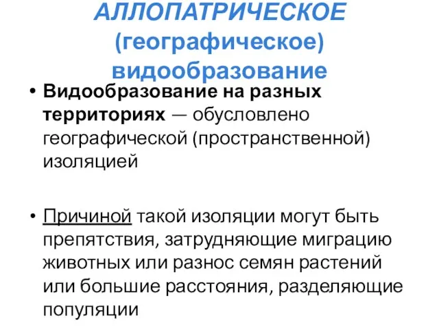 АЛЛОПАТРИЧЕСКОЕ (географическое) видообразование Видообразование на разных территориях — обусловлено географической (пространственной)