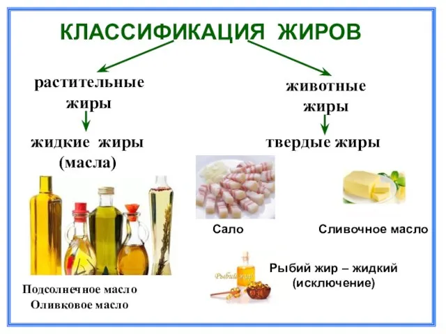 КЛАССИФИКАЦИЯ ЖИРОВ растительные жиры жидкие жиры (масла) Подсолнечное масло Оливковое масло