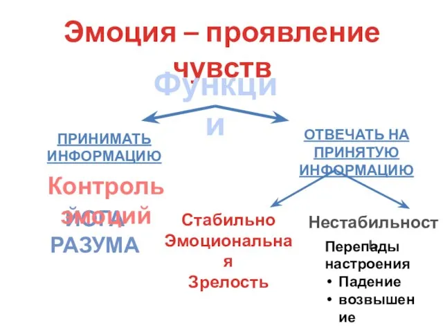 Эмоция – проявление чувств Функции ПРИНИМАТЬ ИНФОРМАЦИЮ ОТВЕЧАТЬ НА ПРИНЯТУЮ ИНФОРМАЦИЮ