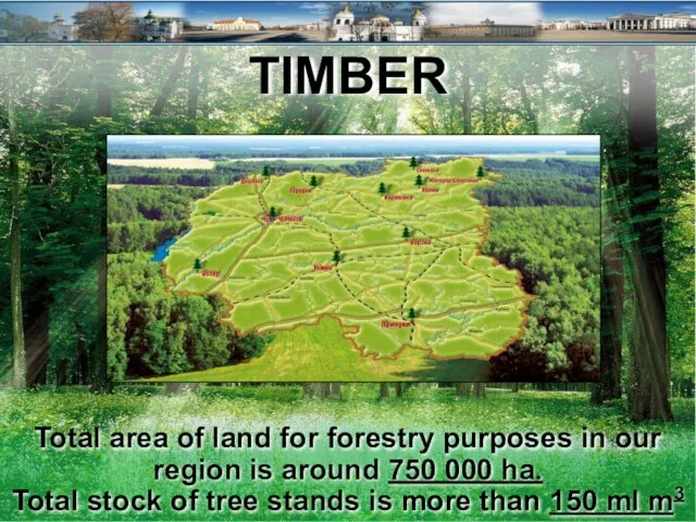 TIMBER Total area of land for forestry purposes in our region