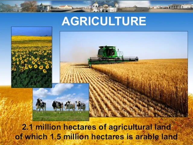 AGRICULTURE 2.1 million hectares of agricultural land of which 1.5 million hectares is arable land