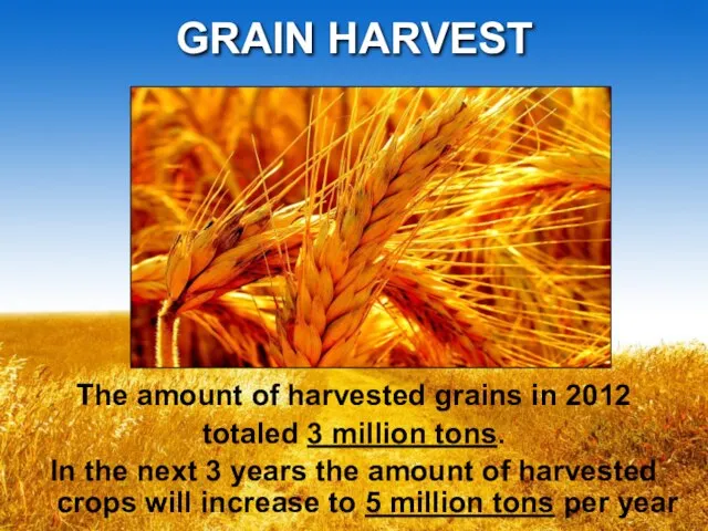 GRAIN HARVEST The amount of harvested grains in 2012 totaled 3