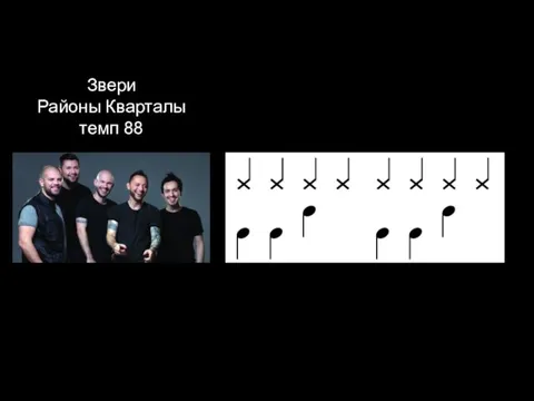 Звери Районы Кварталы темп 88