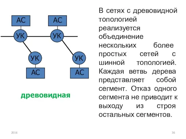 В сетях с древовидной топологией реализуется объединение нескольких более простых сетей