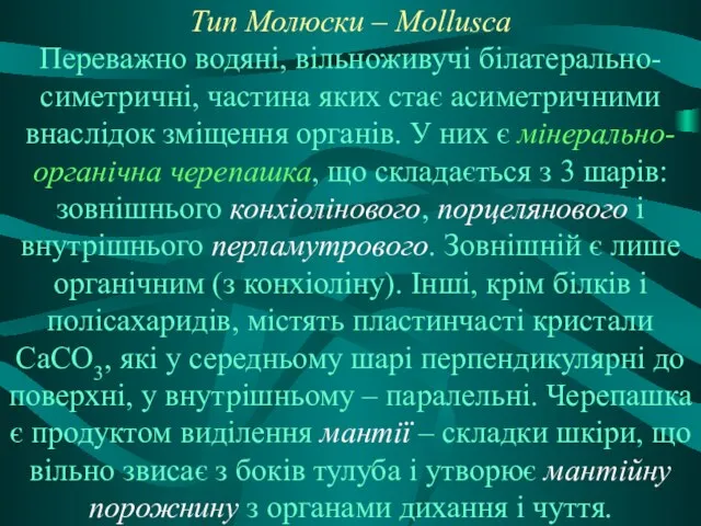 Тип Молюски – Mollusca Переважно водяні, вільноживучі білатерально-симетричні, частина яких стає