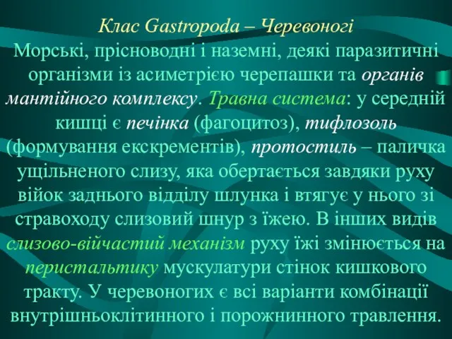 Клас Gastropoda – Черевоногі Морські, прісноводні і наземні, деякі паразитичні організми