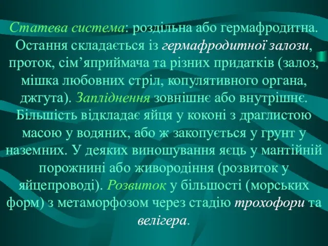 Статева система: роздільна або гермафродитна. Остання складається із гермафродитної залози, проток,