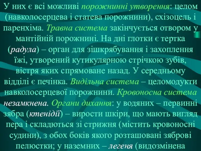 У них є всі можливі порожнинні утворення: целом (навколосерцева і статева