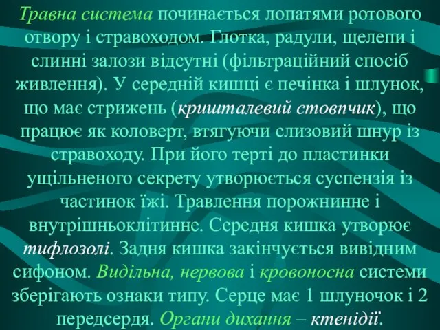 Травна система починається лопатями ротового отвору і стравоходом. Глотка, радули, щелепи