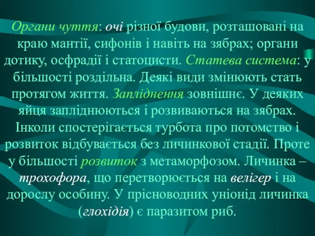 Органи чуття: очі різної будови, розташовані на краю мантії, сифонів і